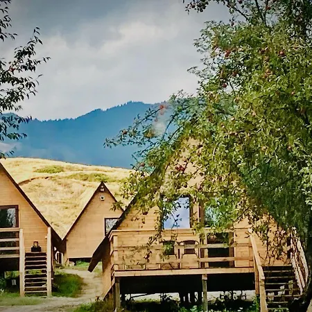 Cabanele Lu' Dinu Curtea de Argeş Exterior foto