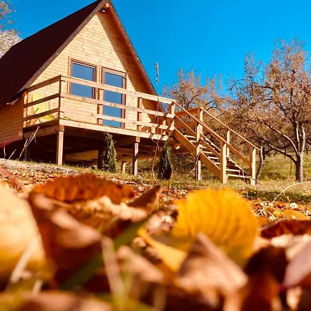 Cabanele Lu' Dinu Curtea de Argeş Exterior foto
