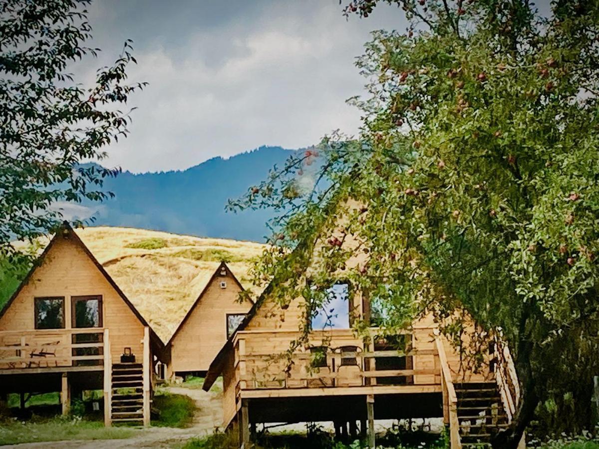 Campingplatz Cabanele Lu' Dinu Curtea de Argeş
