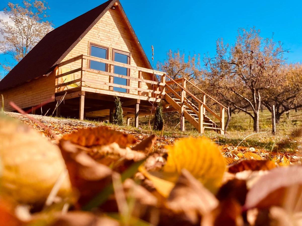 Campingplatz Cabanele Lu' Dinu *