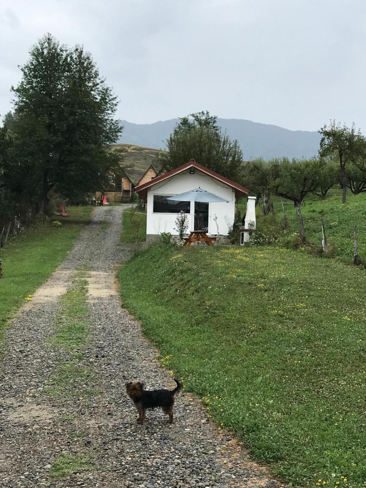 Campingplatz Cabanele Lu' Dinu *